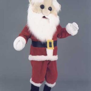 mascotte kerstman.jpg